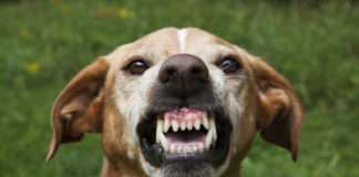 Hejtera można pokonać hejter