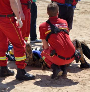 350 tys. zł za wakacje? Uważaj! Niespodziewane wypadki potrafią zrujnować leczenie za granicą