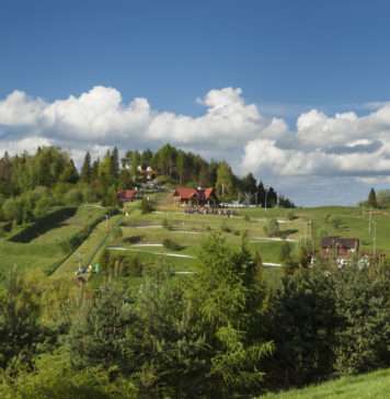 Poznaj uroki górskiej przyrody! Na Palenicy rusza projekt Mali Zdobywcy Gór palenica