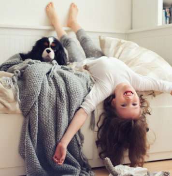 Plusy i minusy posiadania zwierzaka zwierzę w domu