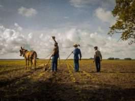 mudbound
