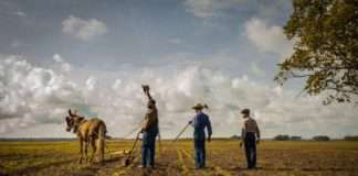 „Mudbound” – premiera już wkrótce mudbound