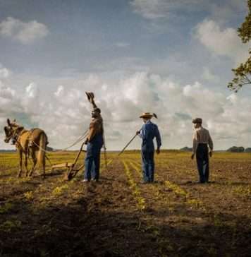 „Mudbound” – premiera już wkrótce mudbound