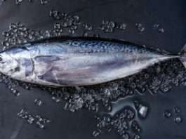 Tuńczyk zagrożony wyginięciem