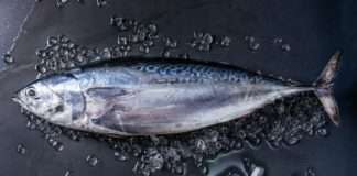 Niemal połowa stad ryb na świecie zagrożona przełowieniem Tuńczyk zagrożony wyginięciem