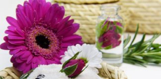 Wyszukiwarki usług kosmetycznych Dekoracja w salonie kosmetycznym