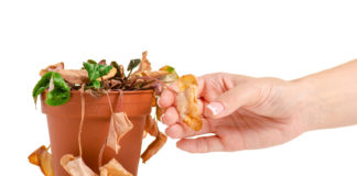 Dlaczego niektóre kwiaty w twoim mieszkaniu usychają? Zwiędłe kwiaty doniczkowe