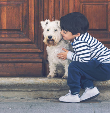 Dzieci wychowujące się z psem lub kotem lepiej radzą sobie ze stresem