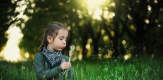 Testy alergiczne, czyli jak sprawdzić, czy jesteś alergikiem Dziecko wśród traw