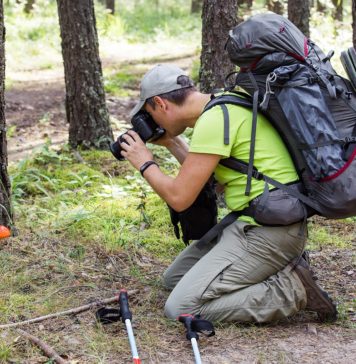 Jaki aparat oraz obiektywy warto wybrać do makro fotografii? Mężczyzna w lesie robi zdjęcia przyrody