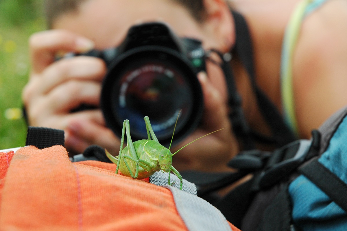 Makrofotografia