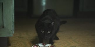 Chilling Adventures of Sabrina: kolejne odcinki! Sabrina mroczna opowieść o dorastaniu