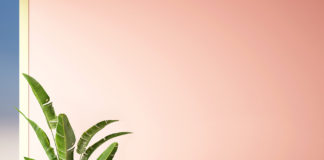 Najnowsze trendy w urządzaniu wnętrz – co będzie modne w roku 2019? trendy wnętrzarskie 2019