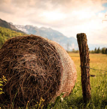 Agroturystyka – jak się zmieniała? Bela siana