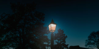 Jakie oświetlenie ogrodu wybrać – solarne czy LED? Lampa w ogrodzie nocą