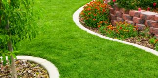 Po co w ogrodzie obrzeża ogrodowe? Obrzeża ogrodowe