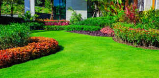 Pielęgnuj ogród, ale z głową! Jak uzyskać piękny, zadbany trawnik? zadbany trawnik