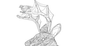 Relaksacyjne kolorowanki nawet bardziej dla dorosłych. Skąd się bierze ich popularność? kolorowanka dla dorosłych