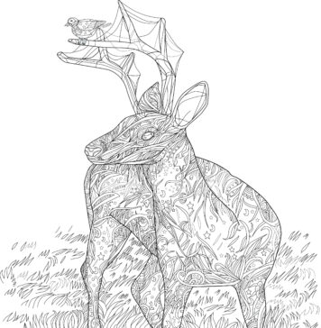 Relaksacyjne kolorowanki nawet bardziej dla dorosłych. Skąd się bierze ich popularność? kolorowanka dla dorosłych