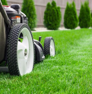 Jak dbać o trawnik? 4 rady eksperta! Kosiarka na zielonym trawniku