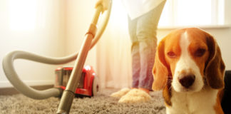 Najlepsze odkurzacze – czyli jak szybciej sprzątać Odkurzanie dywanu