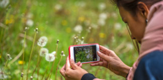 Smartfon z myślą o bajecznych zdjęciach – na co zwrócić uwagę? Jakie modele oferują dobre aparaty? Zdjęcie smartfonem