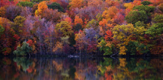 Kanada – gdzie warto pojechać, co zobaczyć? Quebec, Kanada