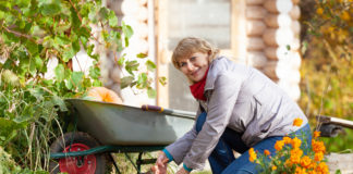 Jak zadbać o ogród na jesień? Kobieta z taczką pracująca w ogrodzie