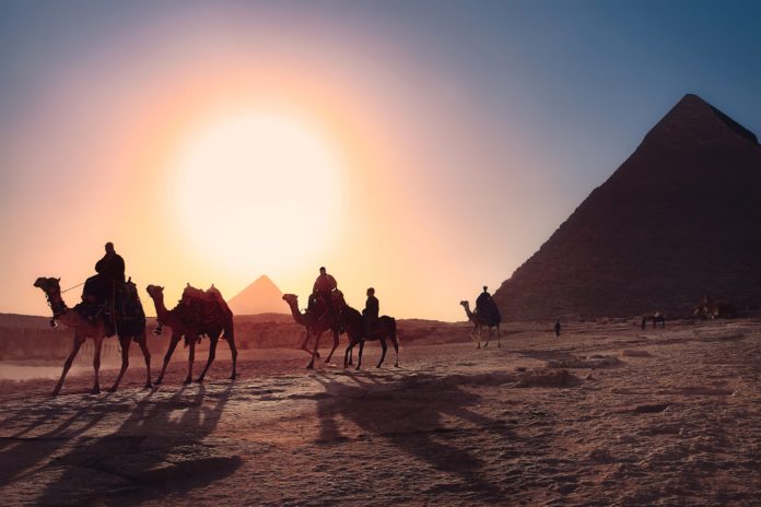Egipt piramidy wielbłądy