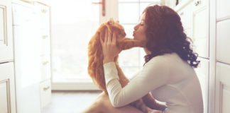 Akcesoria dla kotów, za które Twój pupil pokocha Cię jeszcze bardziej Kobieta całująca rudego kota