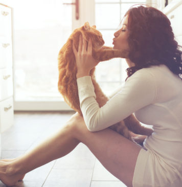 Akcesoria dla kotów, za które Twój pupil pokocha Cię jeszcze bardziej Kobieta całująca rudego kota