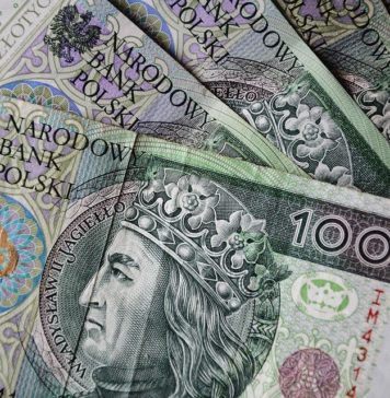 Chwilówki bez BIK bez przelewania grosza – o co w tym chodzi? pieniądze polskie 100 pln