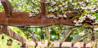 Pergola w ogrodzie. Jak stworzyć własną strefę relaksu na świeżym powietrzu? patio na zewnątrz