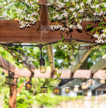 Pergola w ogrodzie. Jak stworzyć własną strefę relaksu na świeżym powietrzu? patio na zewnątrz