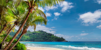 Jamajka – roztańczona wyspa słońca plaża na Jamajce