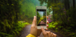 Pasjonujesz się fotografią mobilną? Zobacz jak wybrać najlepszego smartfona do robienia zdjęć! robienie zdjęć przyrody smartfonem