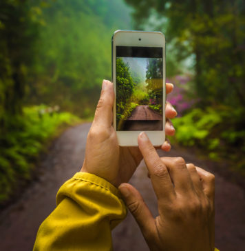 Pasjonujesz się fotografią mobilną? Zobacz jak wybrać najlepszego smartfona do robienia zdjęć! robienie zdjęć przyrody smartfonem