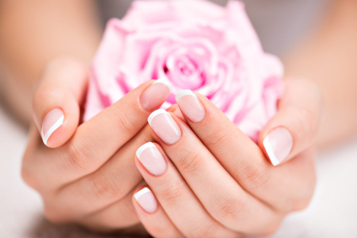 kobieta z zadbanymi paznokciami i dłońmi trzymająca różę w dłoniach