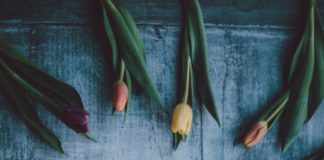 Przygotuj dom na Wielkanoc wiosna aranżacja z tulipanów