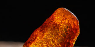 Jakie rzeczywiste właściwości potrafią mieć kamienie szlachetne i minerały? Fakty i mity bursztyn na stole