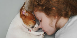 Czy obecność zwierzaka w domu może wpłynąć korzystnie na rozwój Twojego dziecka? W jaki sposób? dziewczynka śpiąca ze szczeniakiem