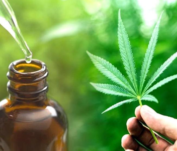 Pozytywne właściwości oleju CBD – do czego można go wykorzystać? olej cbd