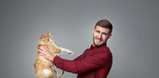 Różne typy alergii – co je wywołuje i w jakich okolicznościach? Objawy i sposoby radzenia sobie z reakcjami alergicznymi młody mężczyzna uczulony na sierść trzymanego kota