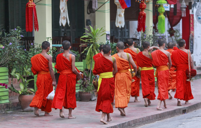 mnisi w luang prabang, laos