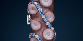 Nietuzinkowe packshoty kryształów Swarovskiego autorstwa finalistów Projektu Packshot od Answear fot.: MARIUSZ TOKAJUK