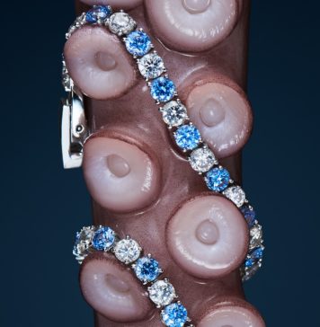 Nietuzinkowe packshoty kryształów Swarovskiego autorstwa finalistów Projektu Packshot od Answear fot.: MARIUSZ TOKAJUK