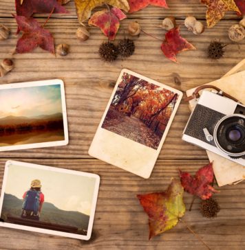 Jesienne dekoracje do domu – jak ozdobić wnętrze? jesienne dekoracje do domu