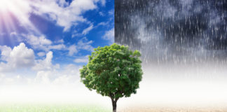 Klimat to my. Ratowanie planety zaczyna się przy śniadaniu – Jonathan Safran Foer zmiany klimatyczne