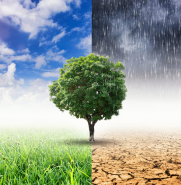 Klimat to my. Ratowanie planety zaczyna się przy śniadaniu – Jonathan Safran Foer zmiany klimatyczne