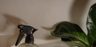 Ekologiczne środki czystości – dobry pomysł dla każdego ekologiczne środki czystości